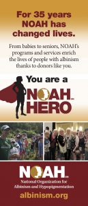 NOAH Hero Rack Cards