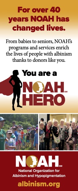 NOAH Hero Rack Cards